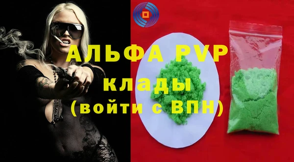 молекула духа Богородицк
