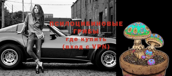 стафф Богородск